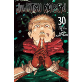 Jujutsu Kaisen 30