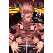 Jujutsu Kaisen 29