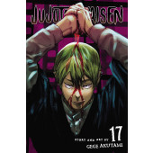 Jujutsu Kaisen 17