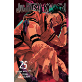 Jujutsu Kaisen 25