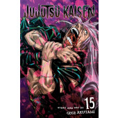 Jujutsu Kaisen 15