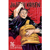 Jujutsu Kaisen 16