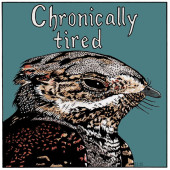 Chronically tired -lintutarra