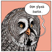 Oon ylpeä susta -lintutarra