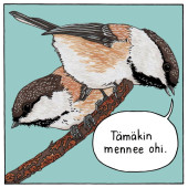 Tämäkin mennee ohi -lintutarra