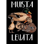 Muista levätä -lintupostikortti