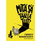 Mitä sä täällä teet? - Tarinoita maahantulosta