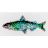 Sateenkaarimuikku-tarra