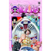 One Piece 17