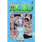 One Piece 23