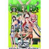 One Piece 28