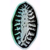 Karjalanpiirakka-tarra