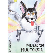 Reunaehto 17 - Muodon muutoksia