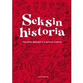 Seksin historia
