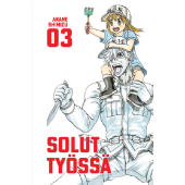 Solut työssä 3