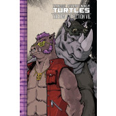 Teenage Mutant Ninja Turtles - The IDW Collection 8