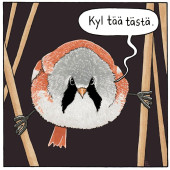 Kyl tää tästä -lintutarra