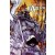 Fables 6 - Homelands (K)