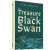 The Treasure of the Black Swan