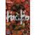 Dorohedoro 6