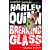 Harley Quinn - Breaking Glass