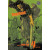 Vagabond Vizbig Edition 4