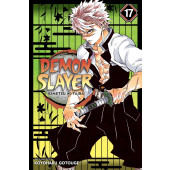 Demon Slayer - Kimetsu No Yaiba 17