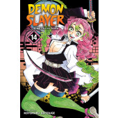 Demon Slayer - Kimetsu No Yaiba 14