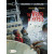 Valerian and Laureline 12 - The Wrath of Hypsis